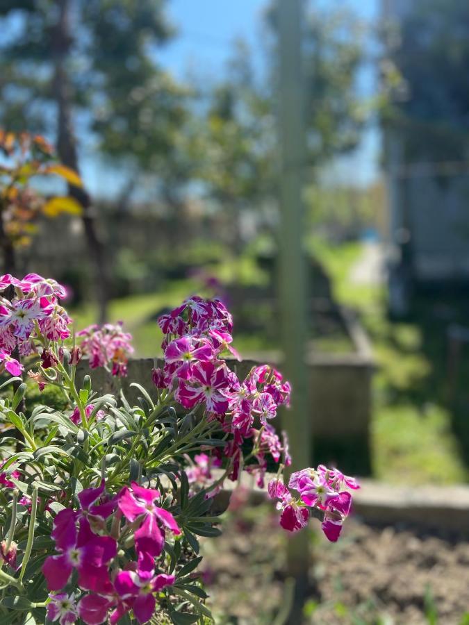Villa Osmani Durrës Exteriér fotografie